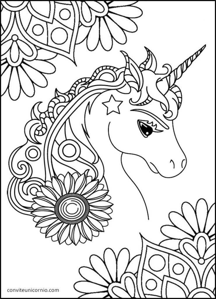 Desenho de Mandala Círculo para colorir  Desenhos para colorir e imprimir  gratis